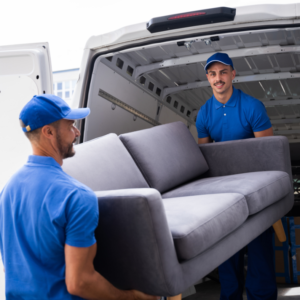 Start a Furniture Removals Business business with AI