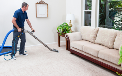 How to Start a Carpet and Rug Cleaning Business