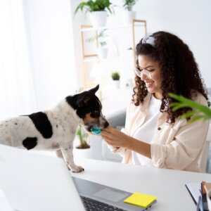 women working and doing pet-sitting business