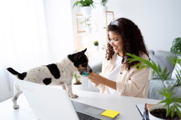 women working and doing pet-sitting business