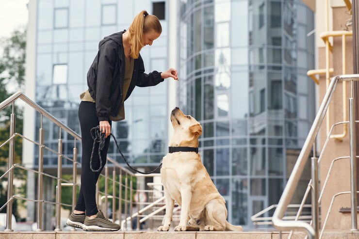 Start & Grow Dog Walking Services with AI-Generated Sales Leads